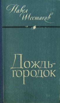 Книга - Дождь-городок. Павел Александрович Шестаков - читать в Litvek