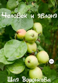 Обложка книги - Человек и яблоня - Шая Воронкова
