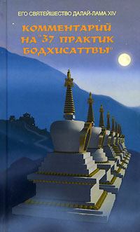 Книга - Комментарий на «37 практик бодхисаттвы». Тензин Гьяцо - прочитать в Litvek