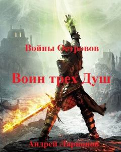Обложка книги - Воин трех Душ - Андрей Ларионов