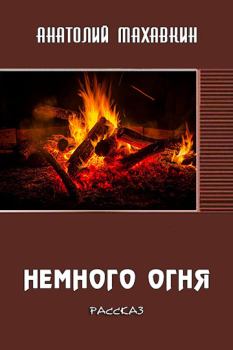 Книга - Немного огня. Анатолий Анатольевич Махавкин - читать в Litvek