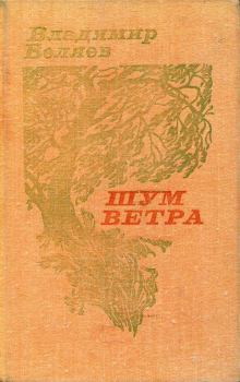 Книга - Шум ветра. Владимир Сергеевич Беляев - прочитать в Litvek