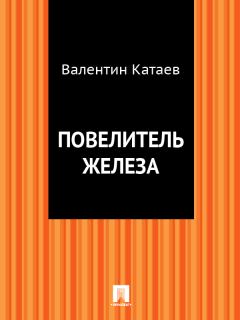 Обложка книги - Повелитель железа - Валентин Петрович Катаев