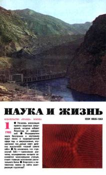 Книга - Журнал "Наука и жизнь", 1980 № 01 .  Журнал «Наука и жизнь» - прочитать в Litvek