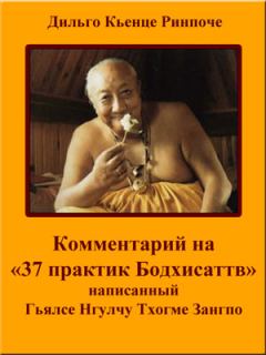 Книга - Комментарий на «37 практик Бодхисаттв». Дильго Кьенце - читать в Litvek