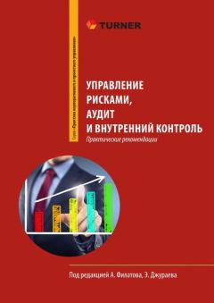 Обложка книги - Управление рисками, аудит и внутренний контроль - Елена Александровна Егорова