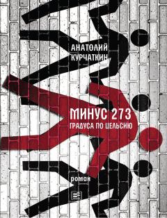 Книга - Минус 273 градуса по Цельсию. Анатолий Николаевич Курчаткин - прочитать в Litvek