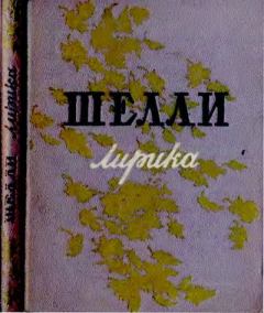 Книга - Лирика. Перси Биши Шелли - читать в Litvek