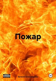 Книга - Пожар. Евгения Александровна Александрова - читать в Litvek
