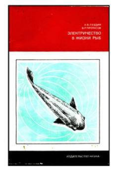 Книга - Электричество в жизни рыб. Александр Владимирович Лаздин - прочитать в Litvek