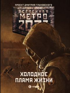 Обложка книги - Метро 2033: Холодное пламя жизни - Андрей Гребенщиков