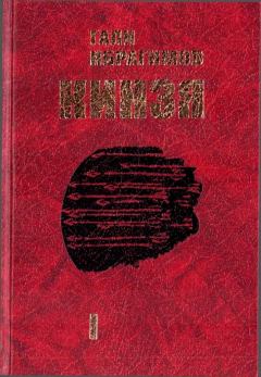 Обложка книги - Кинзя. Книга 1 - Гали Гизетдинович Ибрагимов