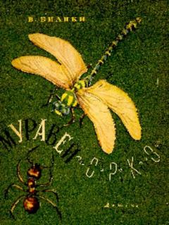 Книга - Муравей и стрекоза. Почему муравьи в одиночку не ходят. Виталий Валентинович Бианки - читать в Litvek