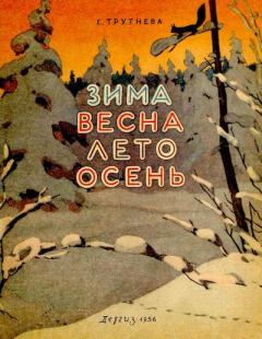 Книга - Зима, весна, лето, осень. Евгения Фёдоровна Трутнева - читать в Litvek