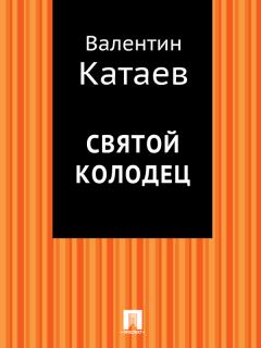 Обложка книги - Святой колодец - Валентин Петрович Катаев