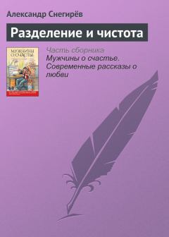 Обложка книги - Разделение и чистота - Александр Снегирев