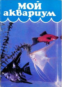 Книга - Мой аквариум. Н Алфимова - прочитать в Litvek
