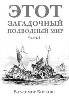 Книга - Этот загадочный подводный мир. Часть 1. Владимир Васильевич Коркош (Korkosh) - читать в Litvek