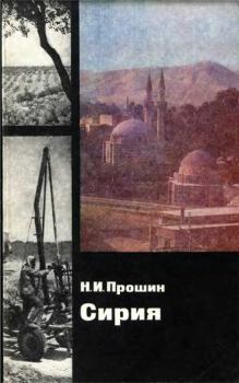 Книга - Сирия. Николай Ильич Прошин - прочитать в Litvek