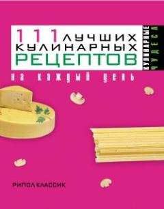 Книга - 111 лучших кулинарных рецептов на каждый день. Ирина Геннадьевна Константинова - читать в Litvek