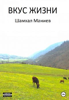 Книга - Вкус жизни. Шамхал Афлатун оглы Маниев - читать в Litvek