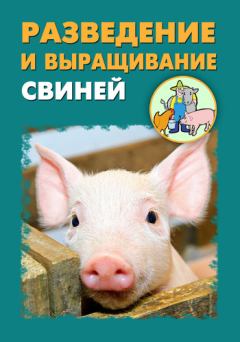 Обложка книги - Разведение и выращивание свиней - Илья Мельников