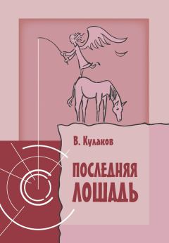 Книга - Последняя лошадь. Владимир Александрович Кулаков - прочитать в Litvek