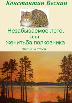 Обложка книги - Незабываемое лето, или Женитьба полковника - Константин Веснин