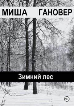 Обложка книги - Зимний лес - Миша Гановер