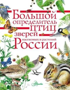 Обложка книги - Большой определитель птиц, зверей, насекомых и растений России -  Коллектив авторов