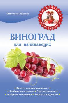Книга - Виноград для начинающих. Светлана Ларина - прочитать в Litvek