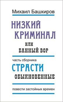 Книга - Банный вор. Михаил Викторович Башкиров - читать в Litvek