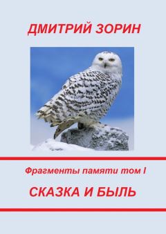 Обложка книги - Сказка и быль - Дмитрий Зорин