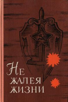 Обложка книги - Не жалея жизни - Калиакбар Баймуканов