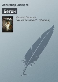 Книга - Бетон. Александр Снегирев - читать в Litvek