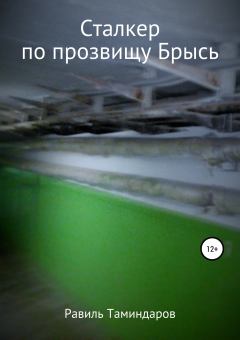 Обложка книги - Сталкер по прозвищу Брысь - Равиль Тимиргалиевич Таминдаров