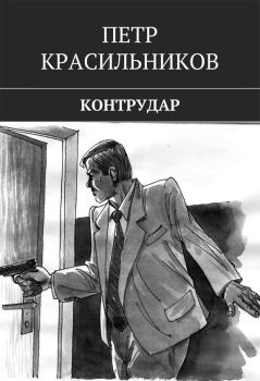 Книга - Контрудар. Петр Красильников - читать в Litvek