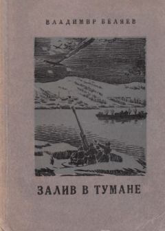 Книга - Залив в тумане. Владимир Павлович Беляев - читать в Litvek