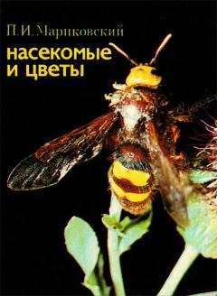 Обложка книги - Насекомые и цветы - Павел Иустинович Мариковский