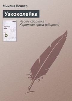 Книга - Узкоколейка. Михаил Иосифович Веллер - читать в Litvek