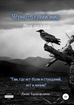 Обложка книги - Чёрно-белый мир. Два ордена - Джиа Буджардини