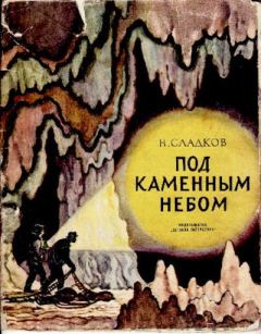 Обложка книги - Под каменным небом - Николай Иванович Сладков