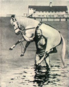 Обложка книги - Конь на белом принце (СИ) - Анна Семироль