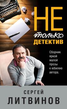 Книга - Не только детектив. Сергей Витальевич Литвинов - читать в Litvek