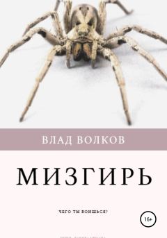 Обложка книги - Мизгирь - Влад Волков