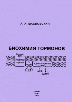 Книга - Биохимия гормонов. Алла Анатольевна Масловская - читать в Litvek