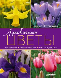 Книга - Луковичные цветы: выбираем, выращиваем, наслаждаемся. Лариса Георгиевна Петровская - прочитать в Litvek