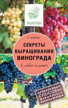 Книга - Секреты выращивания винограда в любом климате. Проверенные способы формировки винограда. Виктор Жвакин - читать в Litvek