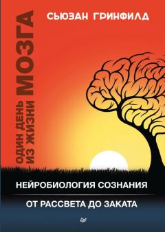Книга - Один день из жизни мозга. Нейробиология сознания от рассвета до заката. Сьюзан Гринфилд - читать в Litvek