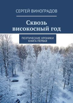 Книга - Сквозь високосный год. Сергей Виноградов - читать в Litvek